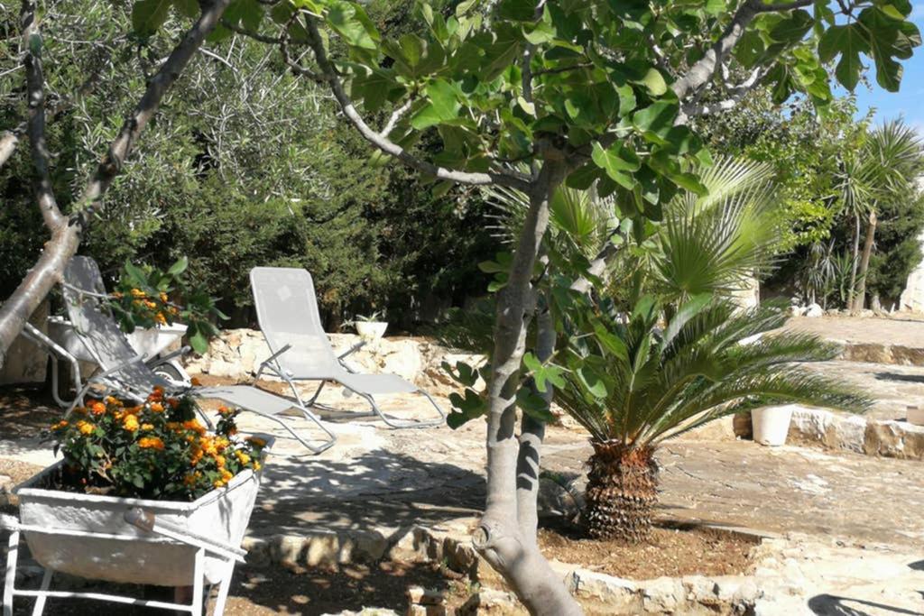 Villa Arenella Vieste Exterior foto